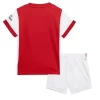 Goedkope-Arsenal-Kind-Thuis-Voetbaltenue-2021-22_2