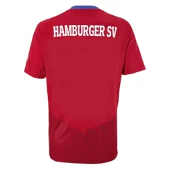 Goedkope-Hamburger-SV-Third-Voetbalshirt-2022-23_2