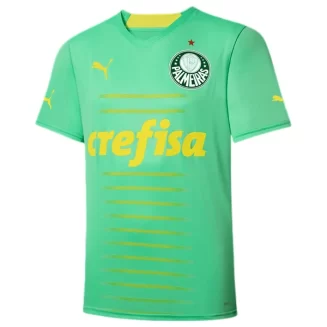 Goedkope-Palmeiras-Third-Voetbalshirt-2022-23_1