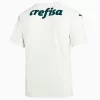 Goedkope-Palmeiras-Uit-Voetbalshirt-2022-23_2