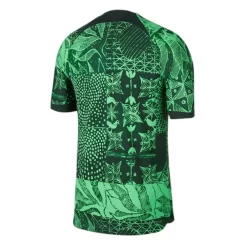 Nigeria-Thuis-Shirt-2022_2