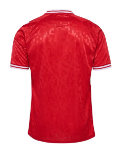 Denemarken Thuis Shirt 2024 3