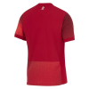 Polen Uit Shirt 2024 2